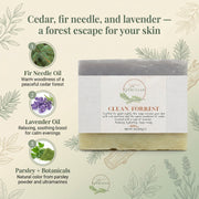 EverLiv Clean Forrest Soap - EverLiv LLC